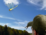 Load image into Gallery viewer, Wingman - Dragonfly
